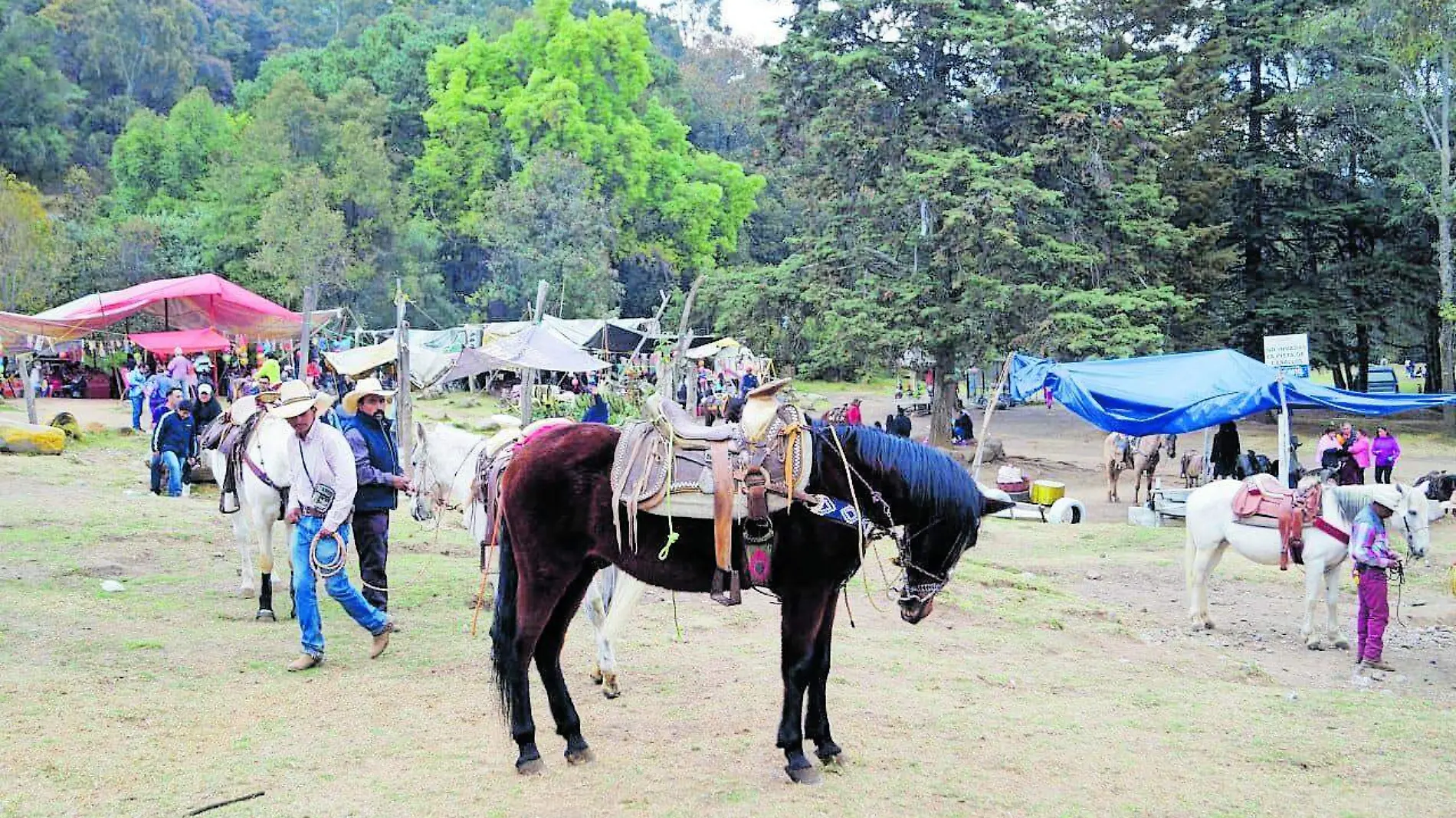 Parque Nacional Los Dinamos CDMX 1 senderos